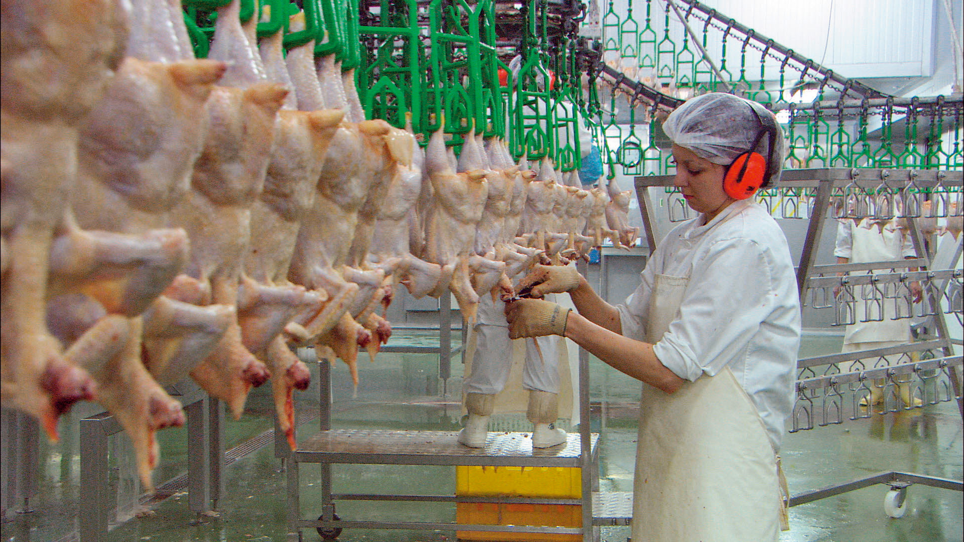 NGF - Nikolaus Geyrhalter Filmproduktion - Our Daily Bread
