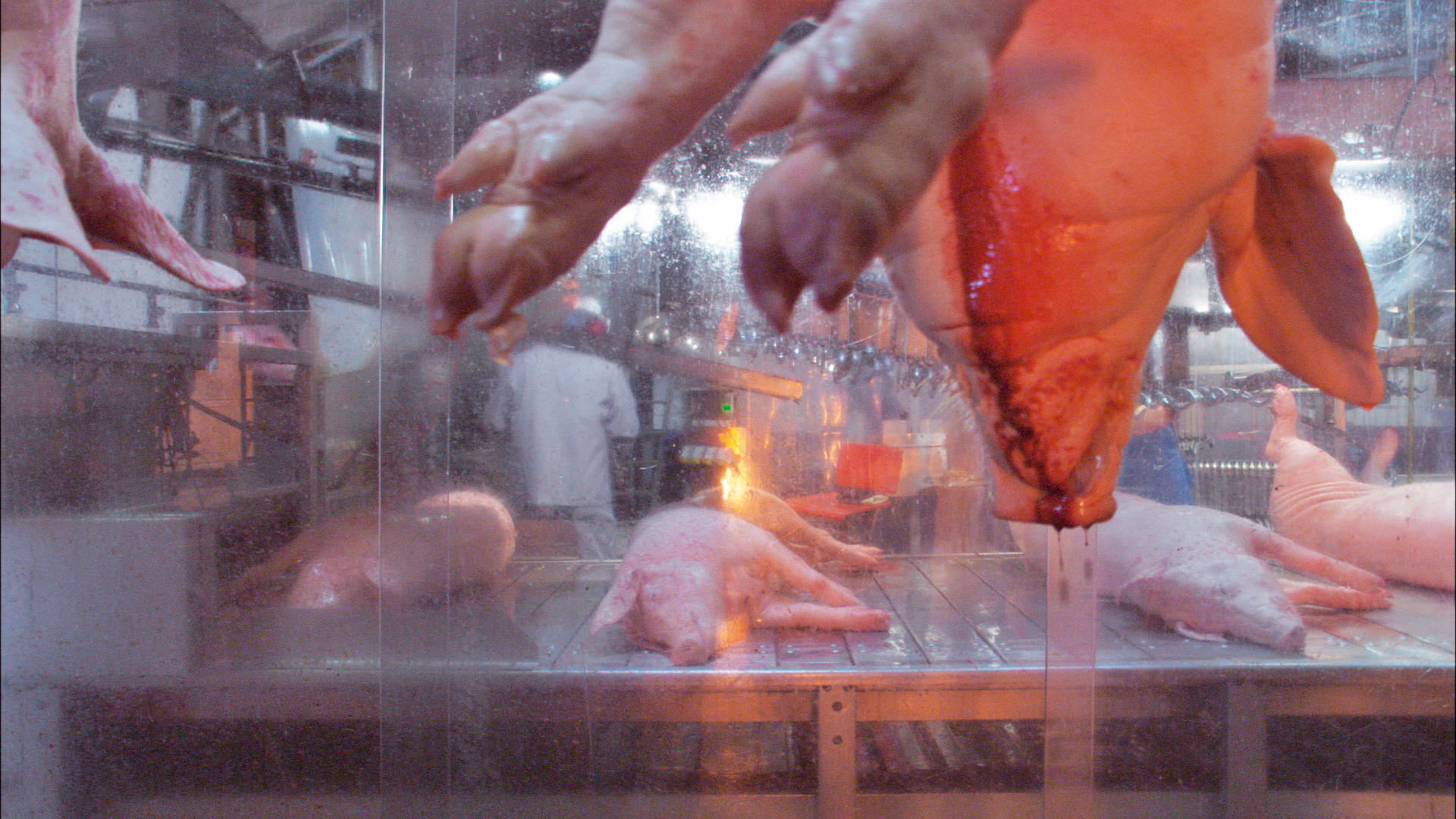 NGF - Nikolaus Geyrhalter Filmproduktion - Our Daily Bread